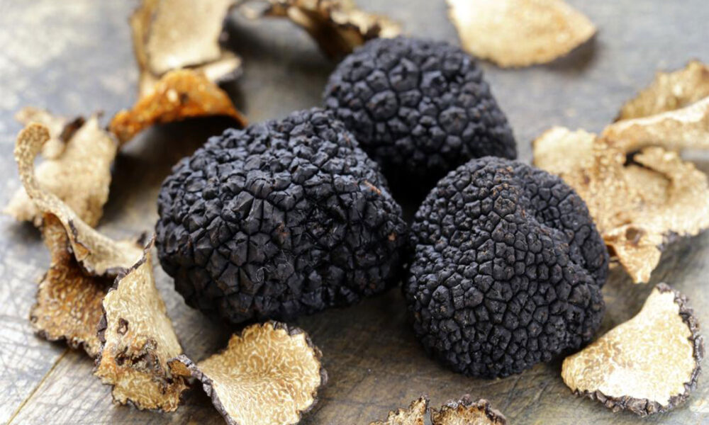 Trufele moldovenești se transformă într-o comoară economică, dar și într-un pericol pentru agricultură